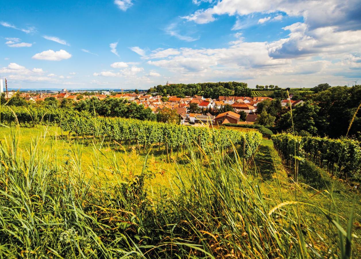 Gaestehaus Steinmuehle Osthofen Zewnętrze zdjęcie