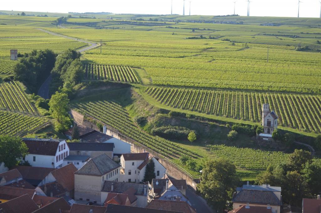 Hotel Gaestehaus Steinmuehle Osthofen Zewnętrze zdjęcie